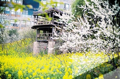 重庆西部新城人口达到60万 远超过十年前预期