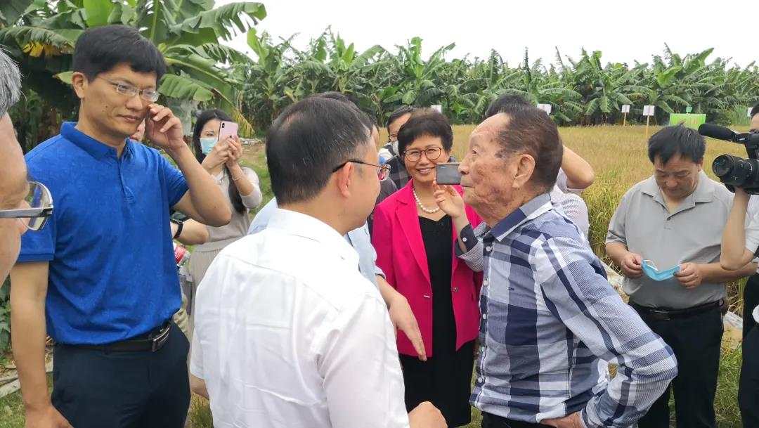 湖南人口_袁隆平：改造1亿亩盐碱地种水稻,每年能多养活8000多万人口