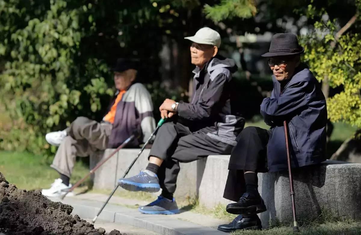 什么什么人口_人口概念股龙头股有哪些?2020人口概念股龙头股一览3(2)
