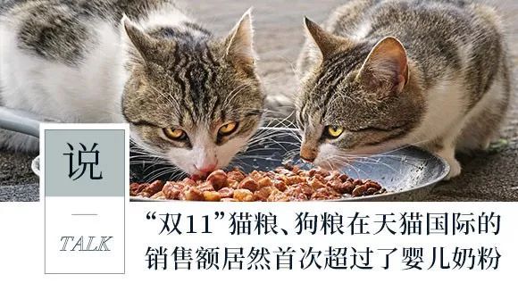 世界人口_世界人口大国前十中,中国人口净增长仅高于俄罗斯!