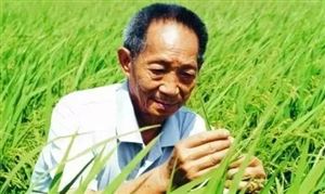 人口普查资料_美国推迟2020年人口普查美国人口普华要花多少钱?2019年末中国