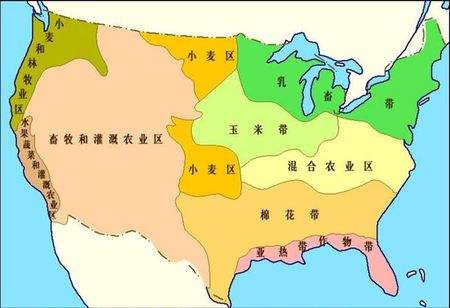 美国多少人口_美国人口2020总人数是多少?2020年美国人口有多少?(2)