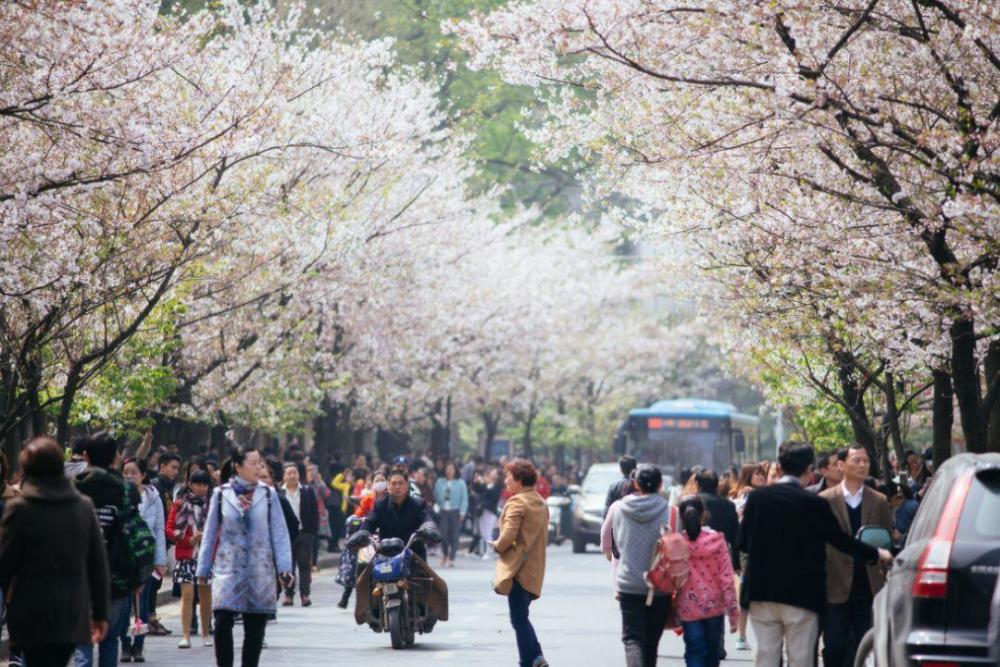 江苏常住人口_江苏一座特大城市,常住人口850万,历史文化底蕴深厚